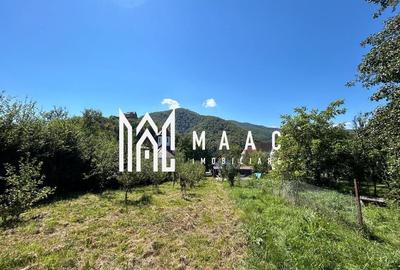 Casa 3 camere I Acces auto I Teren 1.177 mp I Cisnadioara - 10