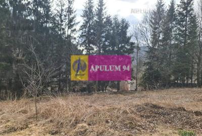 Teren de vânzare în Sinaia - Platou Izvor - 6
