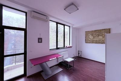 Cotroceni – Parcul Romniceanu | Vilă P+2E+M - 6