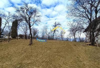 Teren de 5037 mp, în Gura Beliei - 6