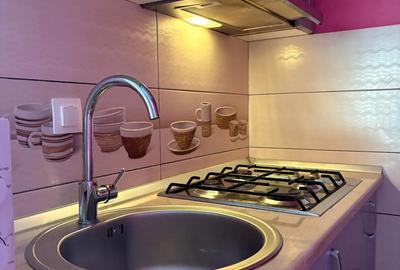 Proprietar dau spre inchiriere garsoniera - 7