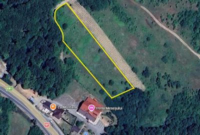 Teren agricol extravilan de 5800 mp, în Românași - 2