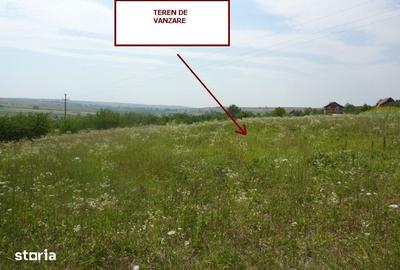 Teren de 11600 mp, în Cetariu - 3