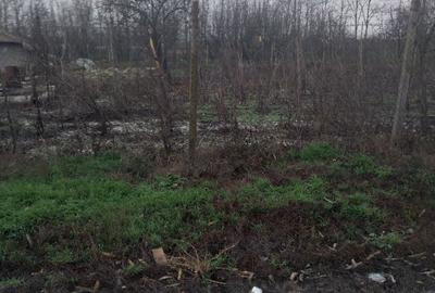 Spațiu comercial, în Rasa - 3