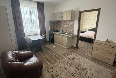 Apartament cu 2 camere în Bariera Vâlcii - 10