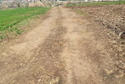 Teren de 3300 mp, în Râciu - 6