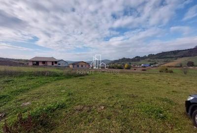 Teren Construcții intravilan de 950 mp, în Livezeni - 2