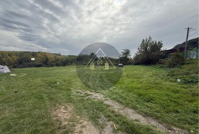 Teren Copsa Mica - 1