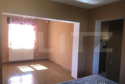 Casă cu 5 camere cu Teren 3000 Mp în Botiz - 9