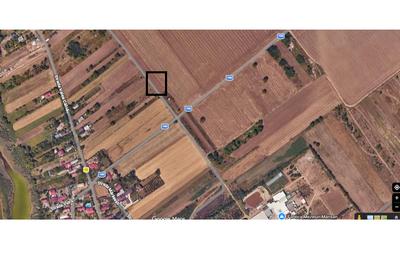 Teren agricol extravilan de 1000 mp, în Frumușani - 1