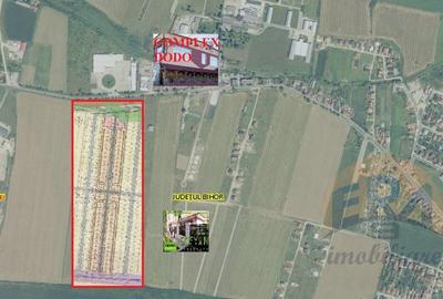 Teren situat in Sintandrei BH - 2