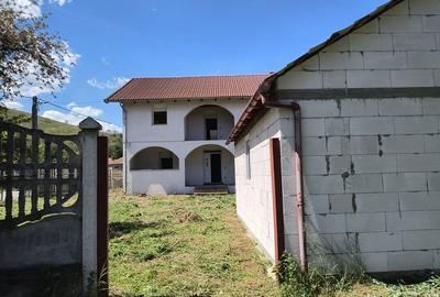 Casă cu 4 camere în Pui - 3