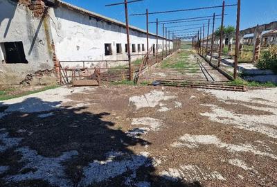 Teren de 15000 mp, în Cămărașu - 8