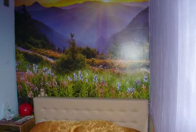 Apartament cu 2 camere nedecomandat în City Park Mall - 7