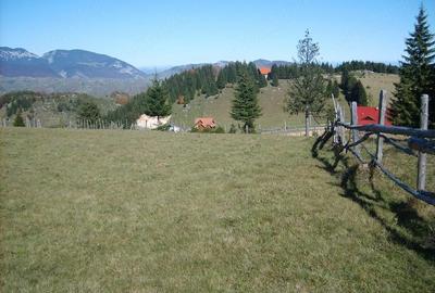 Teren de 717 mp, în Fundata - 7