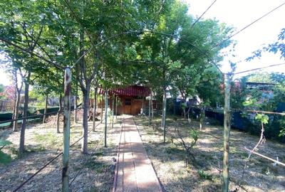 Casă individuală cu 3 camere cu Canalizare în Săcălaz - 22