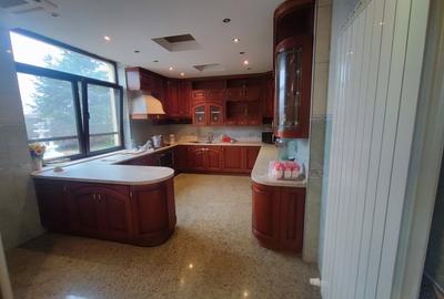 Vanzare casa Pantelimon Bazinului - 3