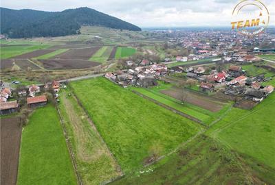 FILM!Potential rezidential investitional: 8.000 mp intravil - 9