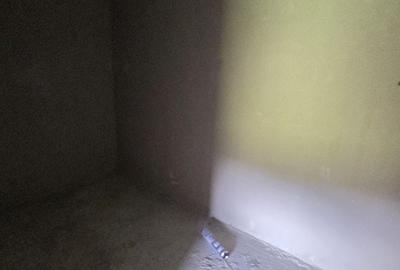 Casă cu 4 camere cu Teren 420 Mp în Calea București - 4