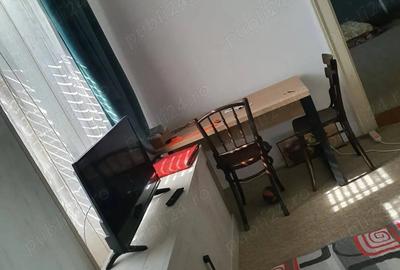 Casă cu 3 camere cu Teren 1360 Mp în Teremia Mare - 3