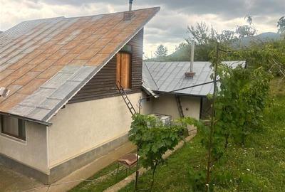 Casa, 4 camere, 125000 euro, Nehoiu , 120 Mp, 2000 mp teren. - 19