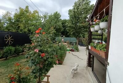 Casă cu 4 camere în Braniștea - 6