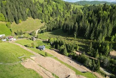 Teren de 1000 mp, în Băișoara - 8