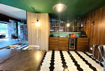 Inchiriem Spatiu Comercial ZONA ESPLANADA - 17