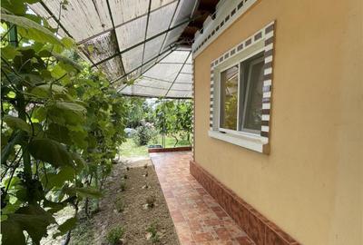 Casa de Tudor Vladimirescu Tulcea - 3