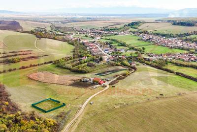 Ocazie: Teren 642mp, Rusciori, deschidere drum, zona frumoasa |SkyView Ocazie: Teren 642mp, Rusciori, deschidere drum, zona frumoasa |SkyView - 2