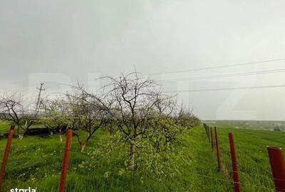 Spațiu comercial, în Pielești - 6