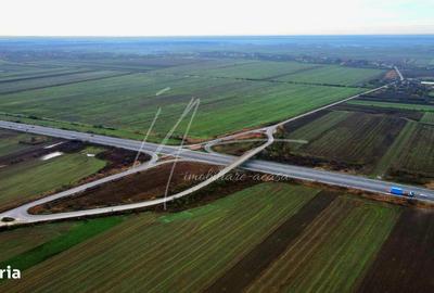 Teren de 113950 mp, în Uliești - 9