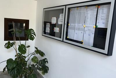 Piata Alba iIulia - 7