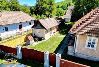 FILM! Doua case+anexe,rezidential/ comercial/de vacanta,Zagon,Covasna - 10