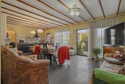 COMISION 0% | 2 Case cu Spatiu Comercial | Teren 1019mp | 540 eur/mp - 19