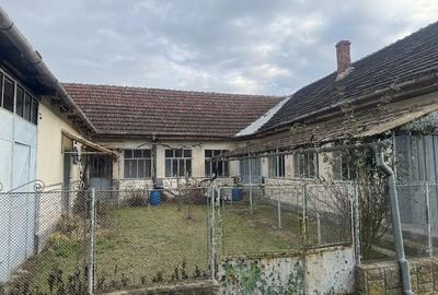 Casă individuală cu 4 camere cu Teren 2800 Mp în Criciova - 2