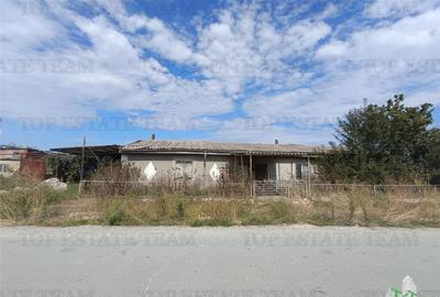 TEREN 5000,MIDIA PORT - 7