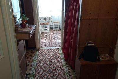 Apartament cu 2 camere decomandat în Botizului - 8