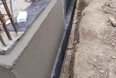 Casă cu 3 camere în Sârbi - 2