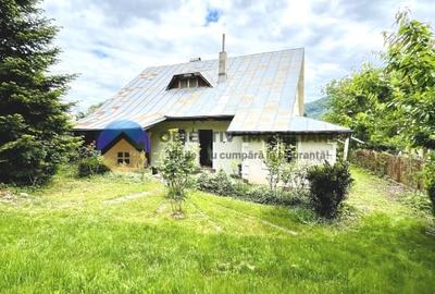 CASA  comuna ALEXANDRU cel BUN - VIISOARA - 2