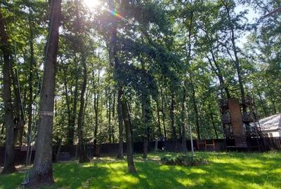 Vanzare - Vila individuala | 5 camere | Piscina | Padure | Corbeanca Vanzare - Vila individuala | 5 camere | Piscina | Padure | Corbeanca - 11