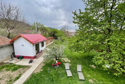 Casa 5 camere Cristian, teren 1000mp! - 22