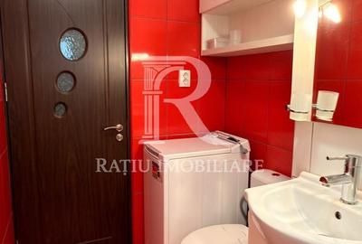 Apartament cu 2 camere semidecomandat, mobilat în Rogerius - 10