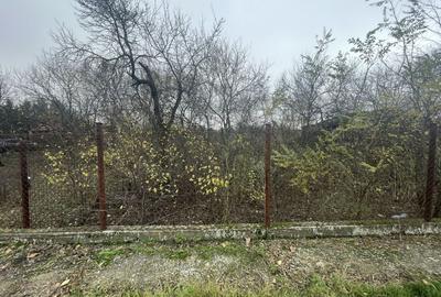 Teren in suprafata de 2165 mp cu front de 30 ml - 7