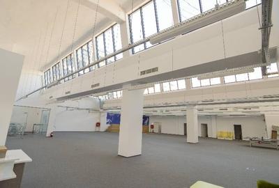 0% comision! Inchiriere birouri Domenii, 663 - 1643 mp - 9