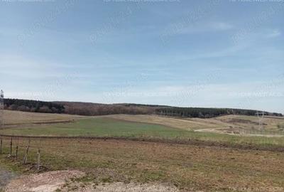 Casa individuala, cu teren generos, in Sali?tea Noua, comuna Baciu! - 3
