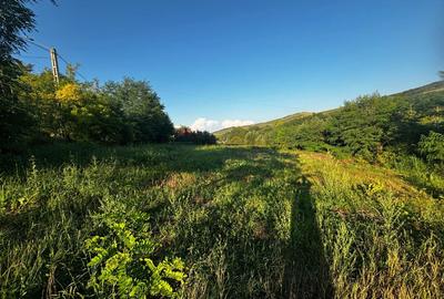 Casa de vanzare sat Samboleni. - 8