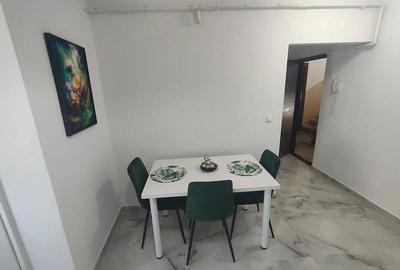 Apartament cu 2 camere semidecomandat în Șagului - 13