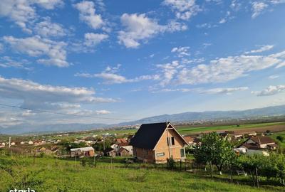 Spațiu comercial, în Șura Mare - 4