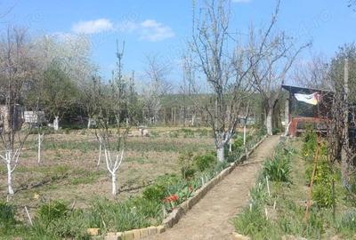 Casă cu Teren 1125 Mp în Micălaca - 1